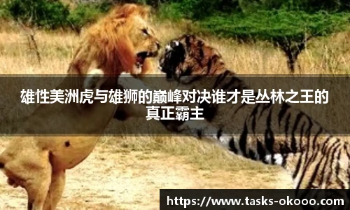 澳客网